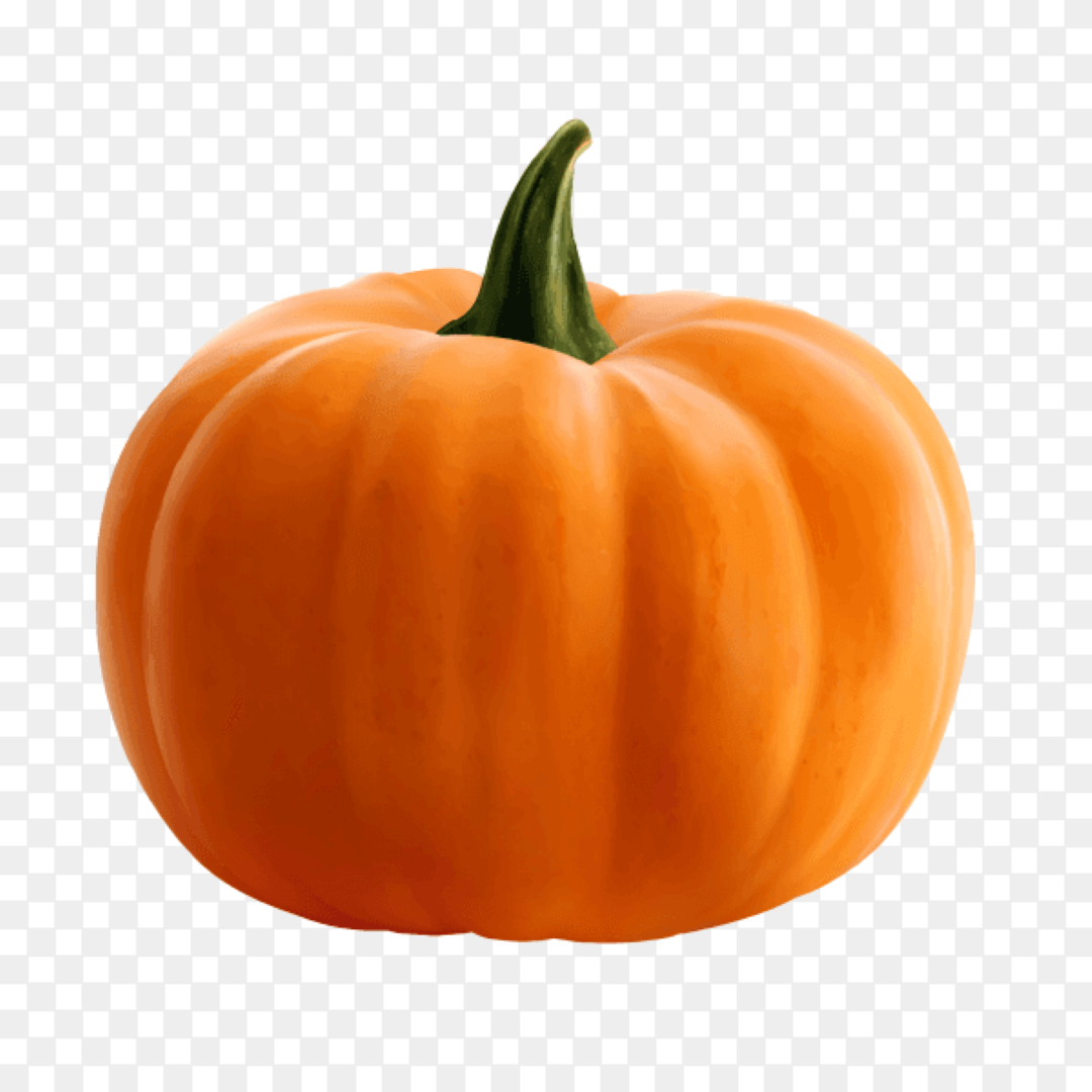FRESH PUMPKIN